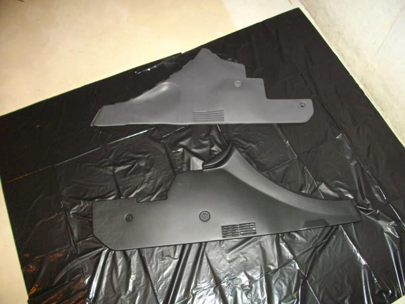 IMGP1037.jpg