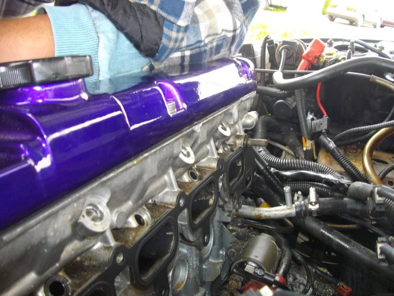 IMGP2288.jpg
