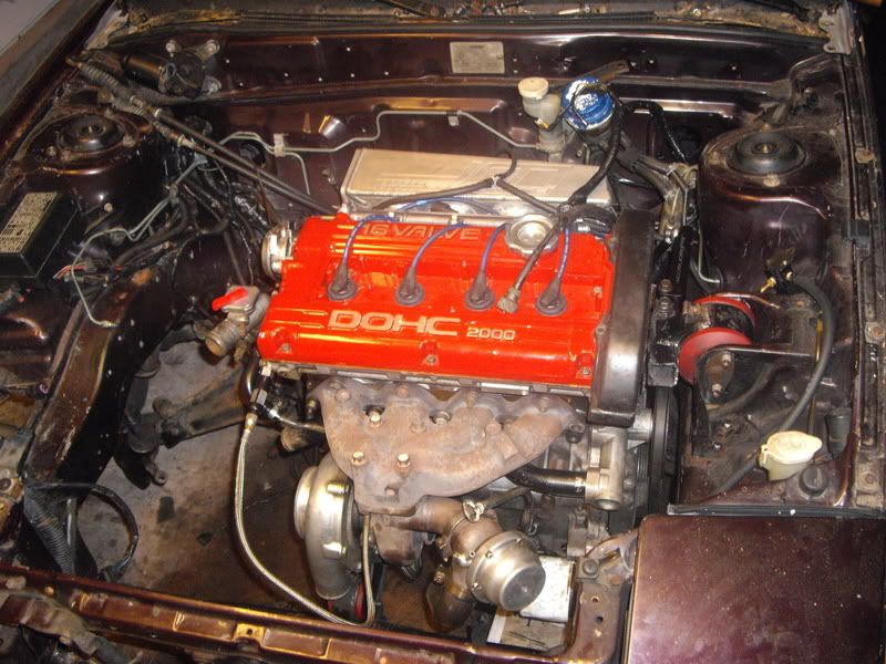 IMGP2551.jpg
