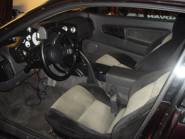 IMGP2562.jpg
