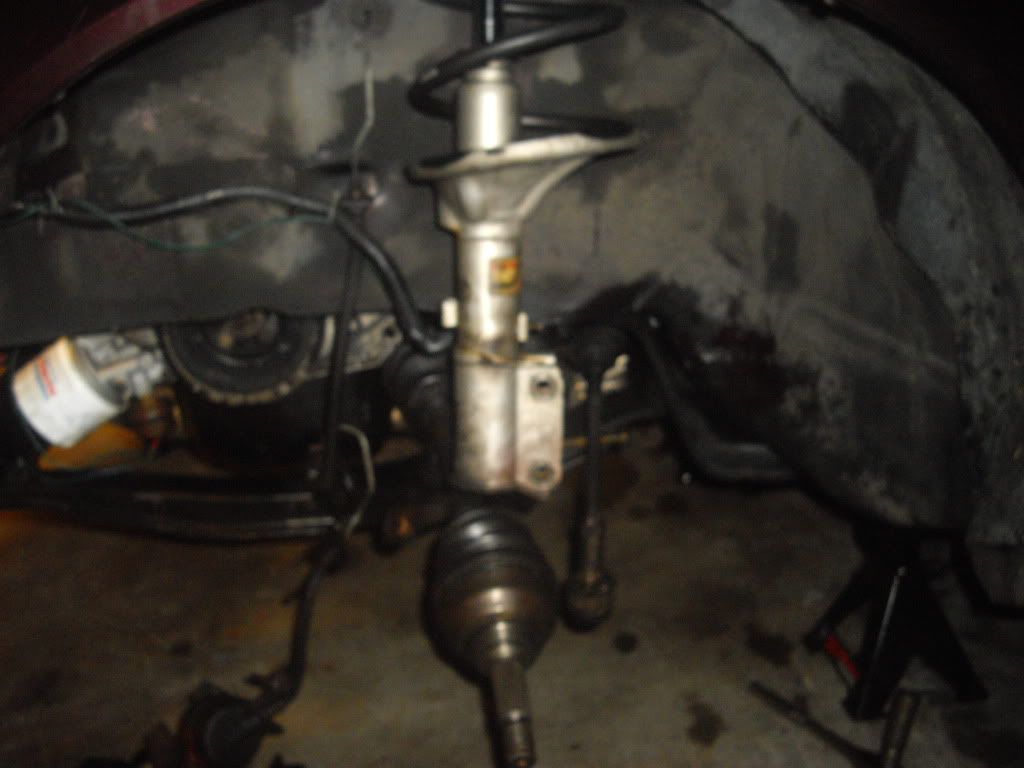 IMGP3553.jpg