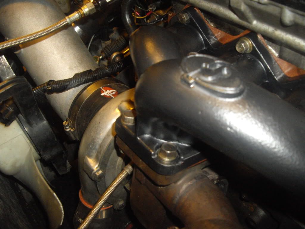 IMGP3772.jpg