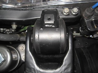 modified_prothane_4.jpg