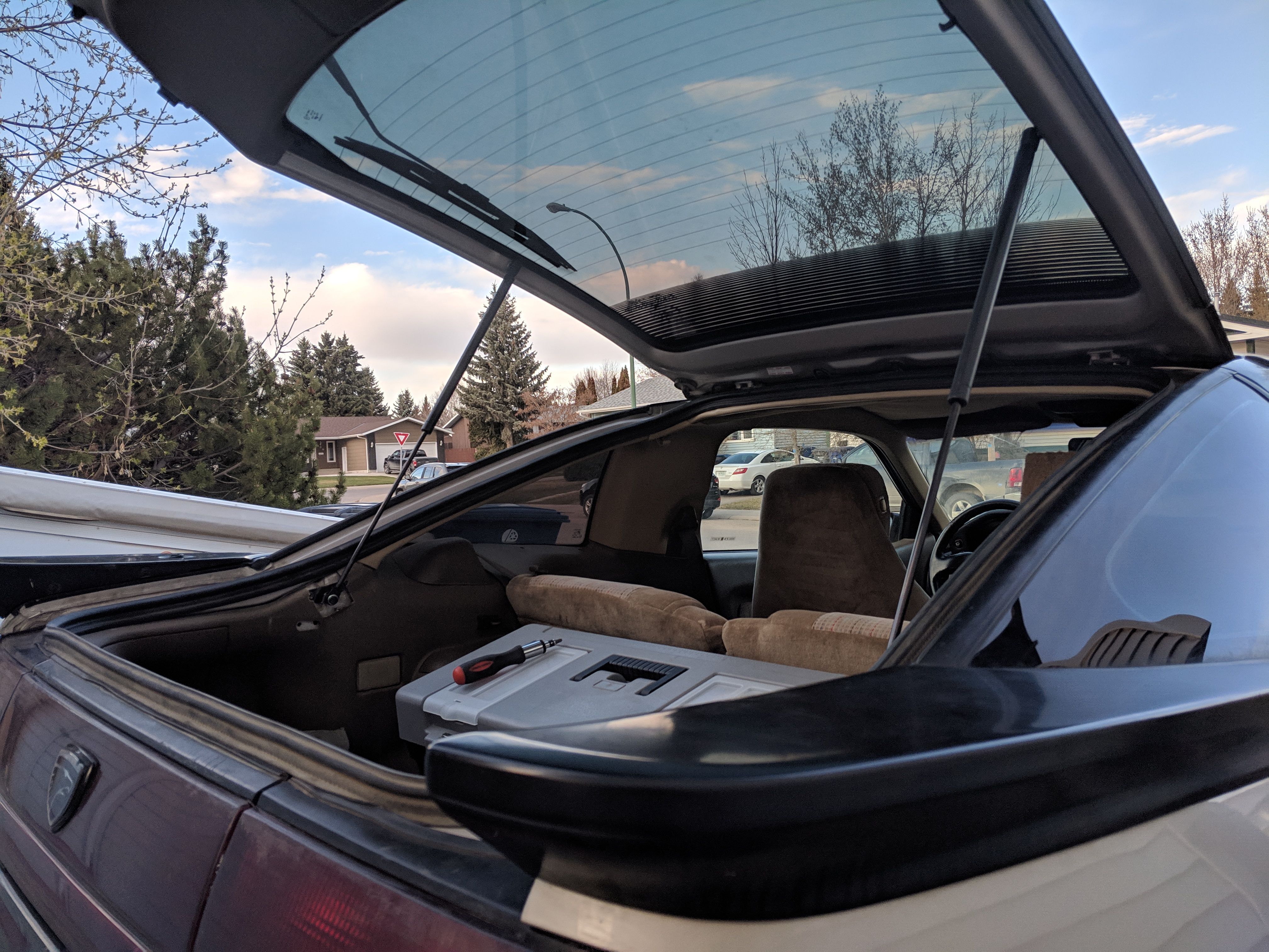 MVIMG_20190423_185609.jpg