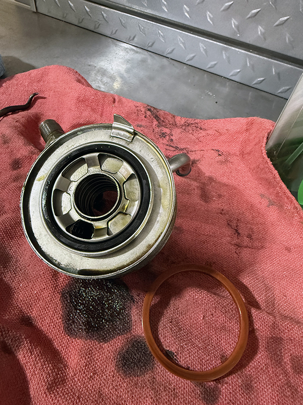 oilcoolergasket1.jpg