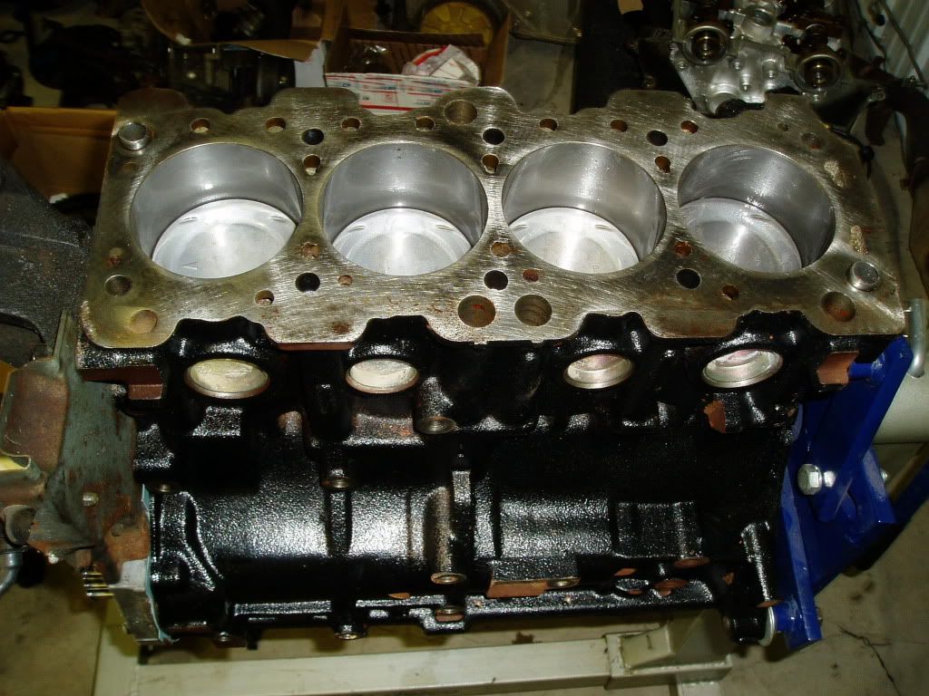 P1010083-1.jpg