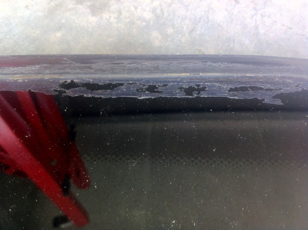 photo22.jpg