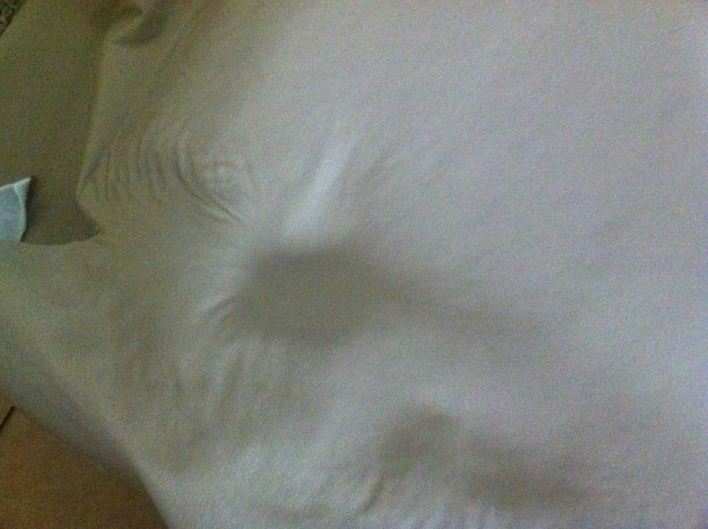 photo25.jpg