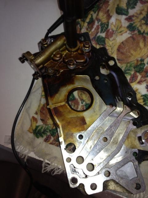 photo5_zps57b24a07.jpg