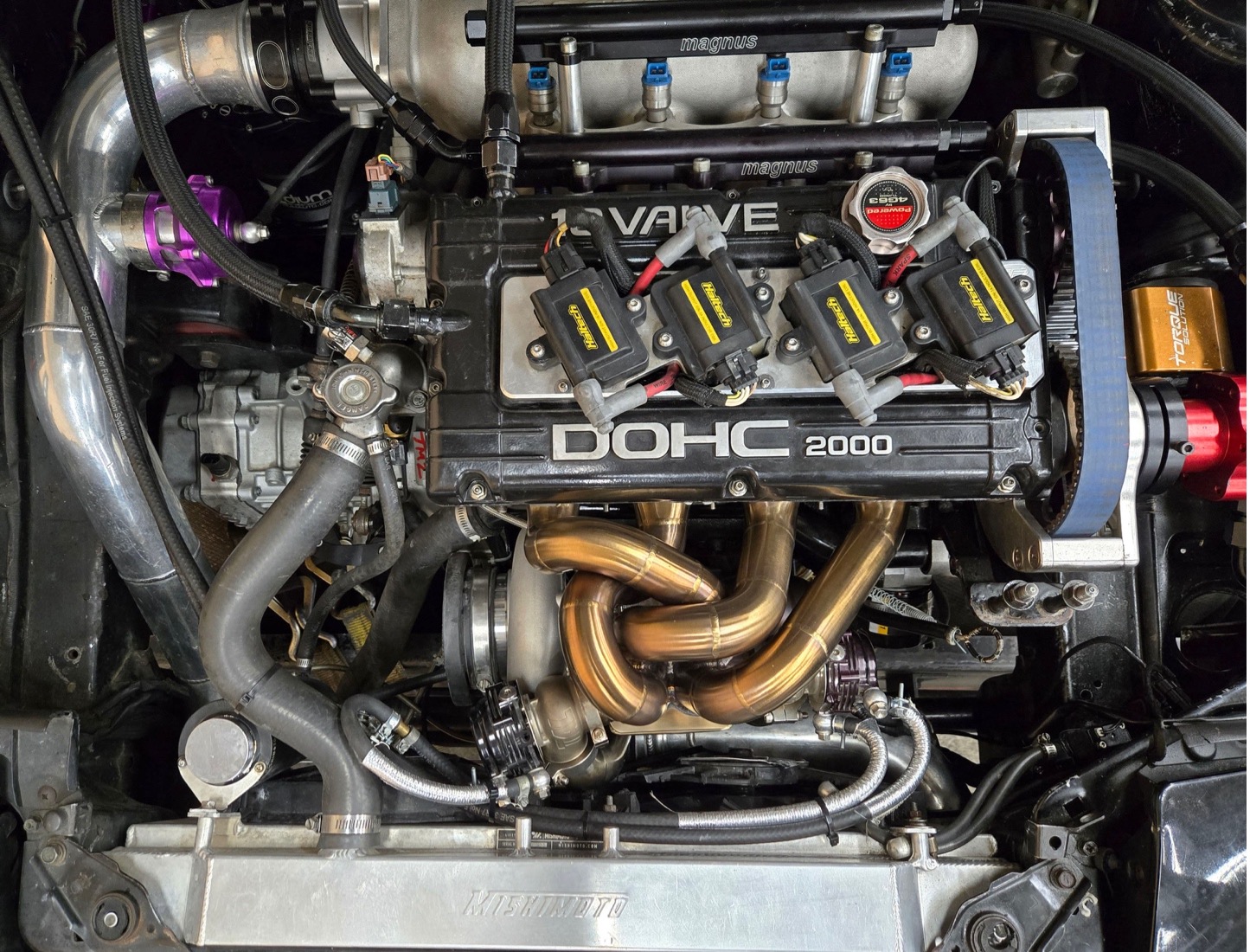 T4 Divided