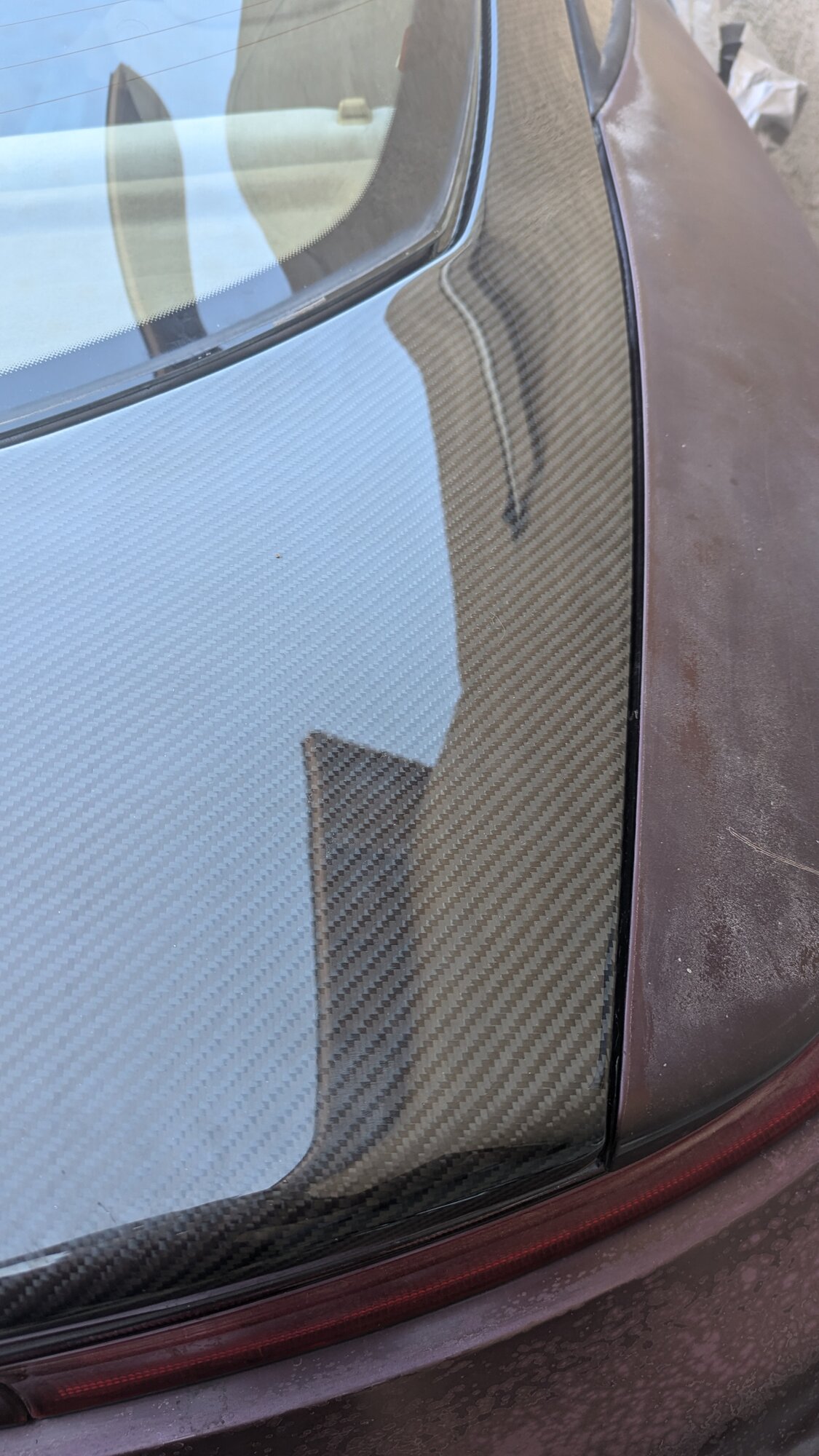 PXL_20241002_230701377.jpg