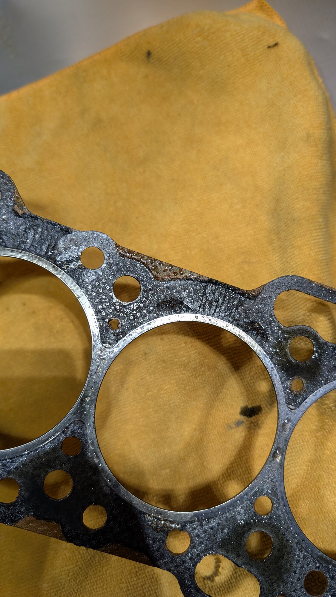 PXL_20250115_002458986.jpg