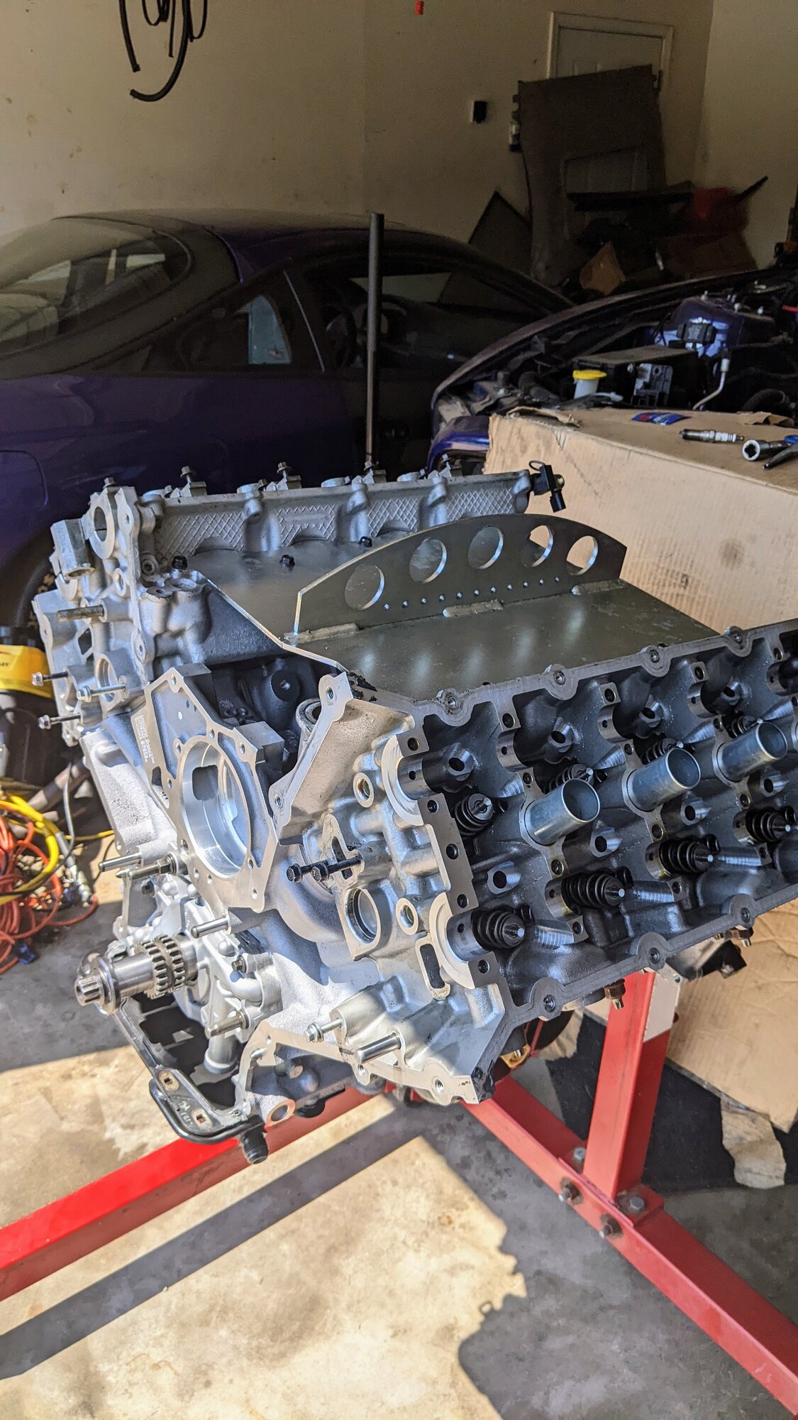 PXL_20250807_201833302.MP.jpg