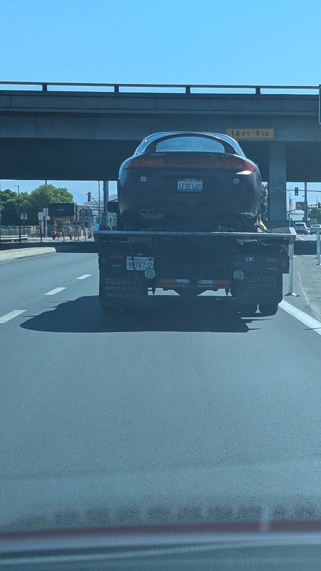 PXL_20250819_170342017.jpg