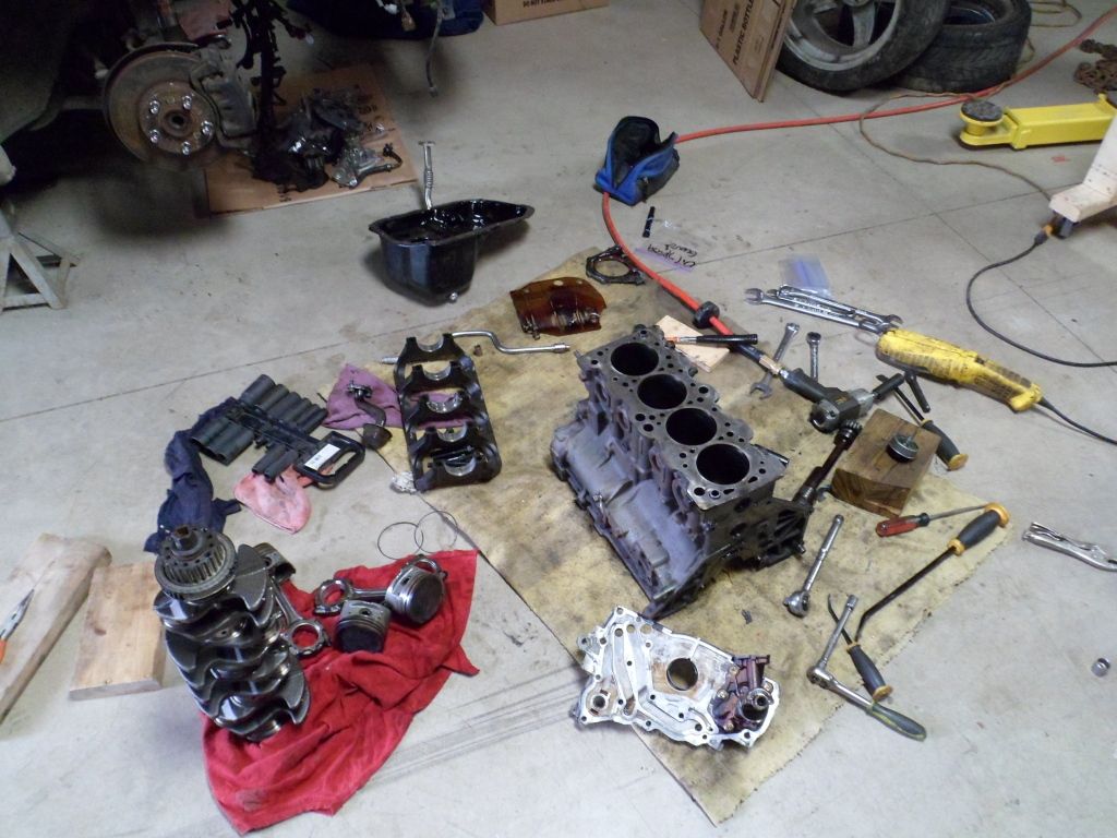 SAM_1088.jpg