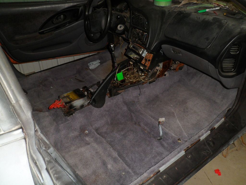 SAM_1107.jpg
