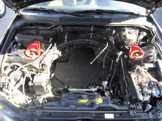 SDC10225.jpg