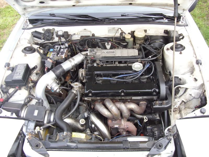 SDC11645.jpg