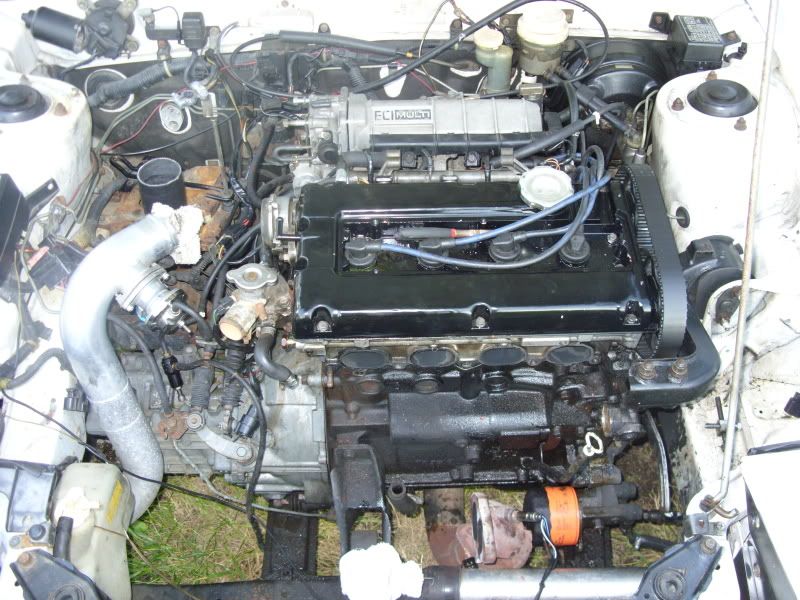 SDC11666.jpg