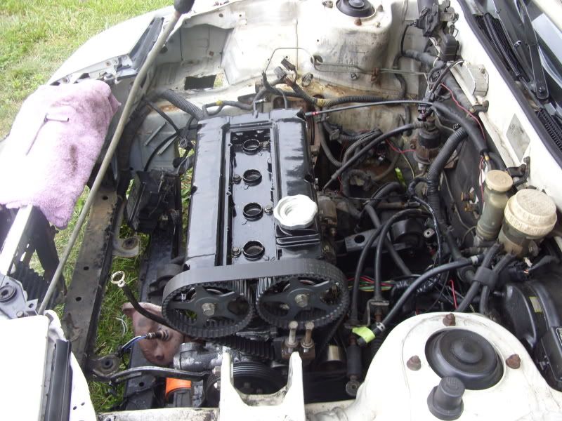 SDC11711.jpg