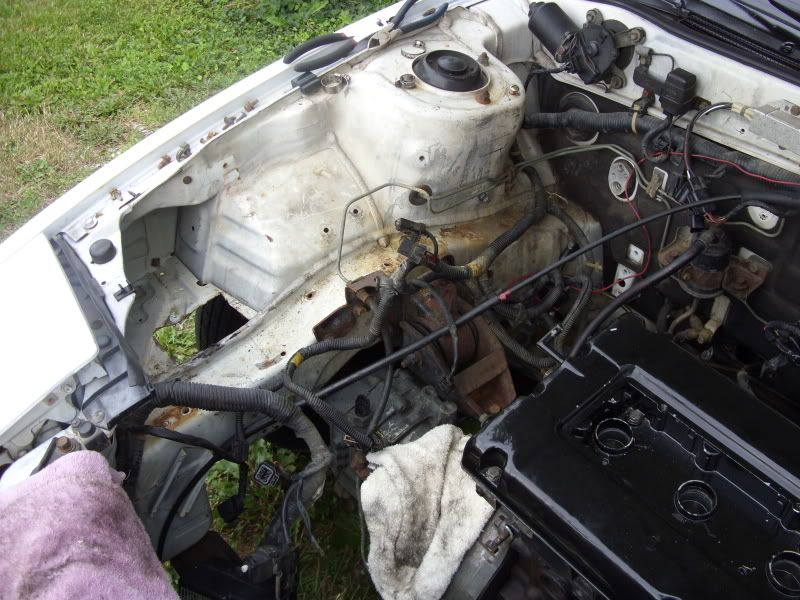 SDC11712.jpg
