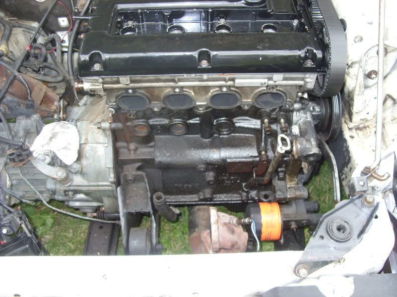 SDC11715.jpg
