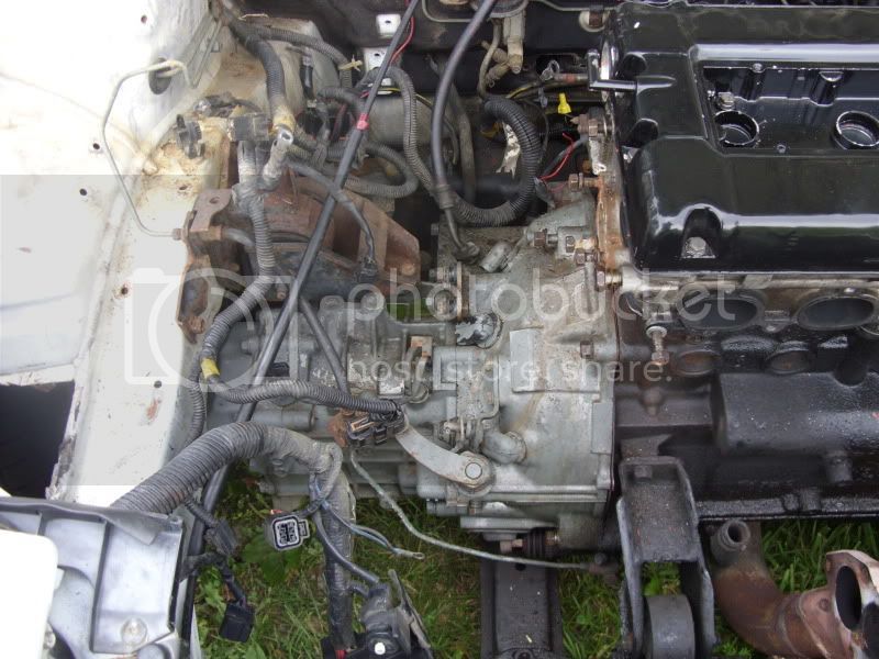 SDC11718.jpg