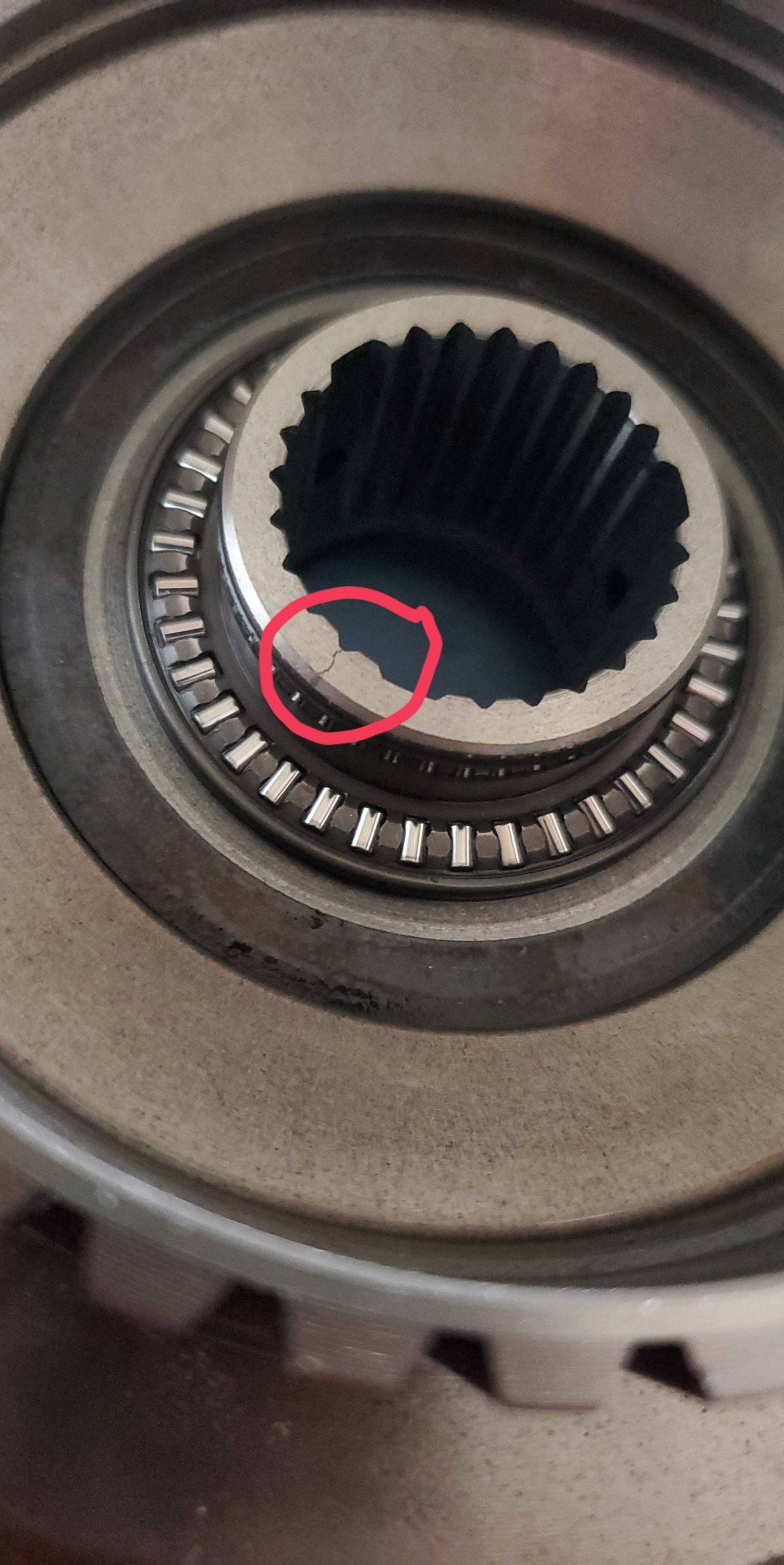 Snapchat-1812144204.jpg