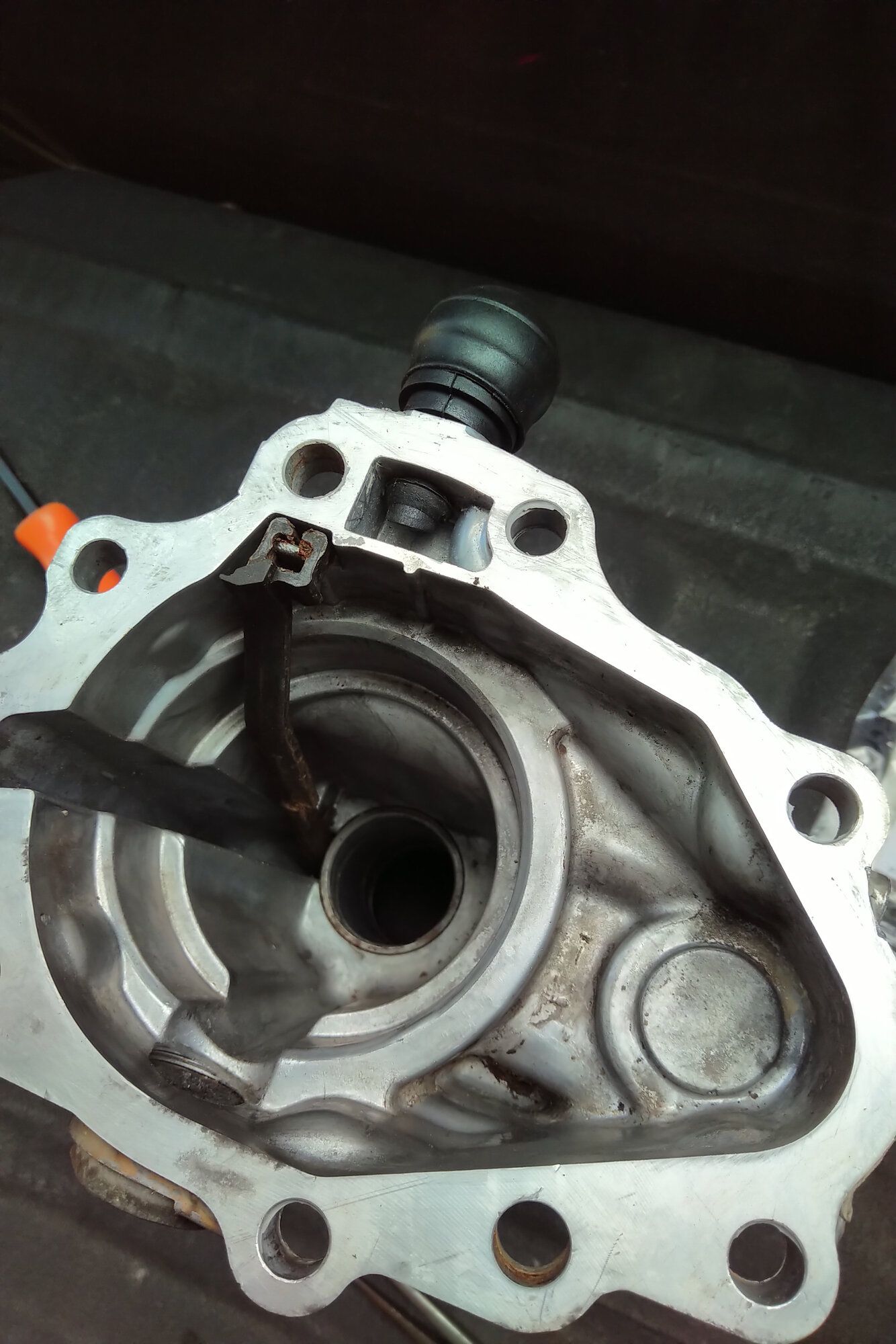 Tailshaft Housing New.jpg