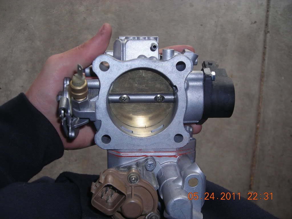 Talon039.jpg