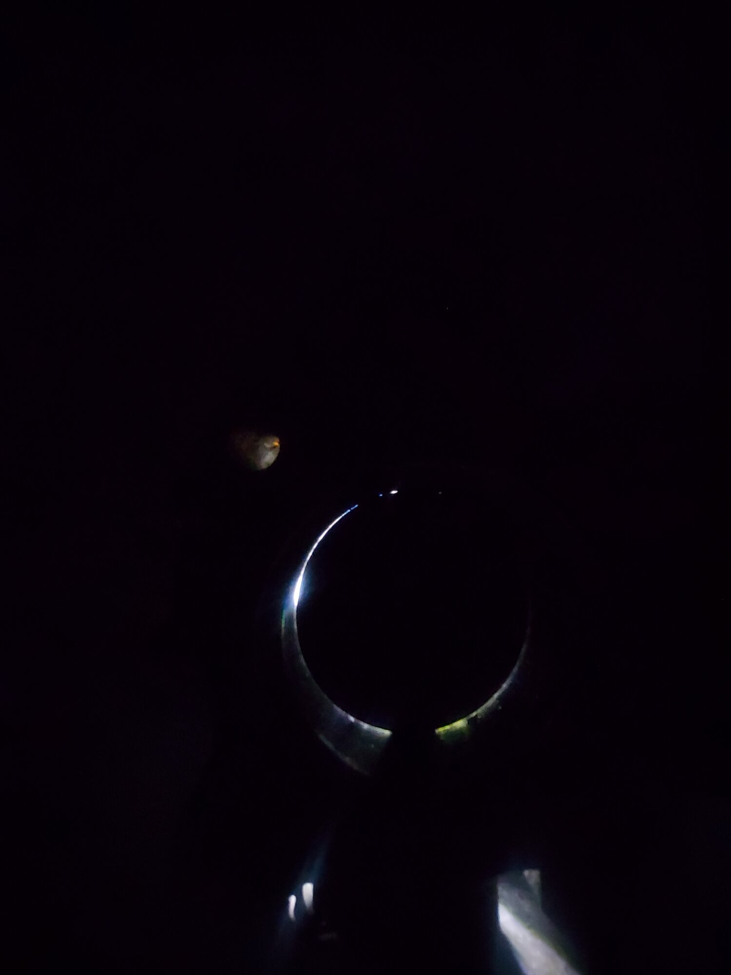 Throttle-plate_light.jpg