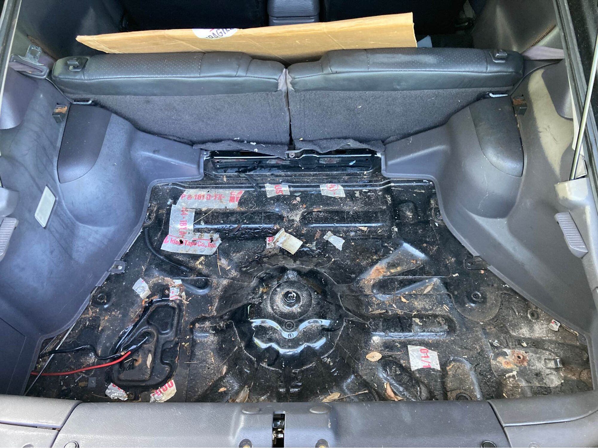 Trunk 1.jpg