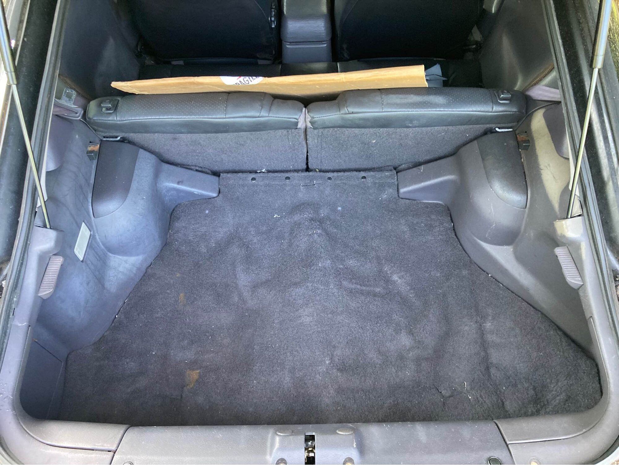 Trunk 2.jpg