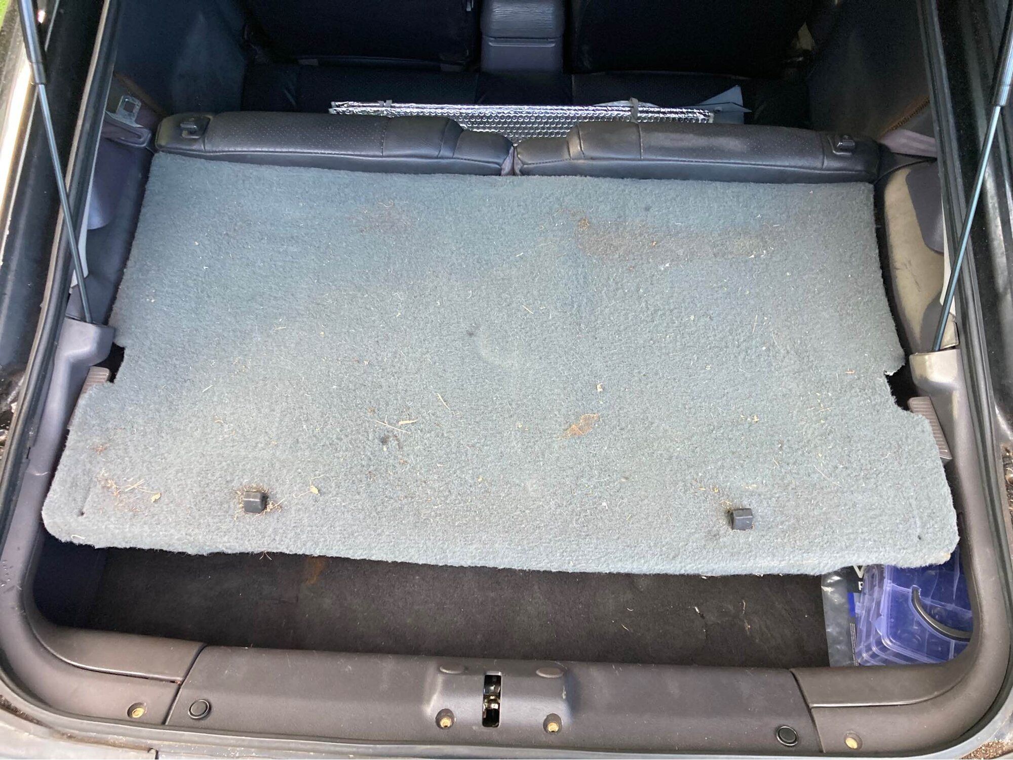 Trunk 3.jpg