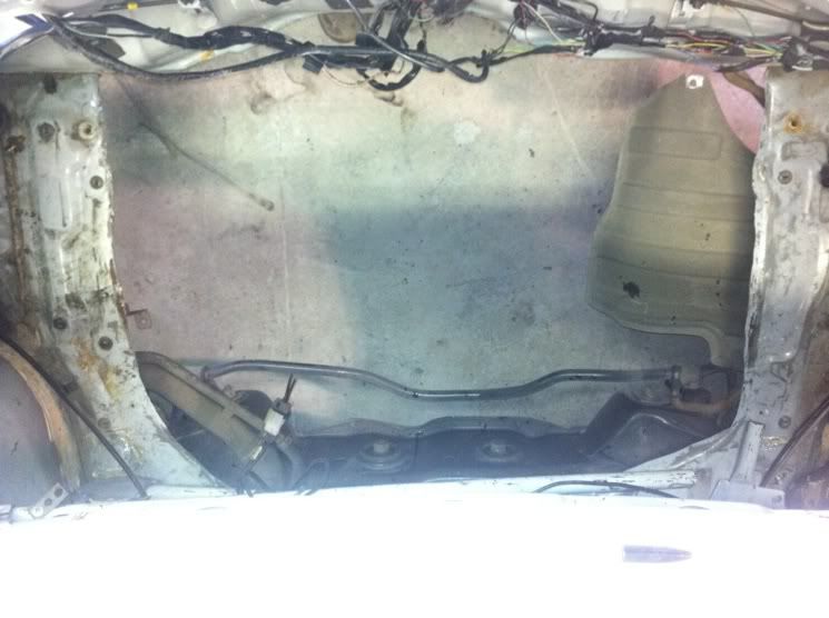 trunk3.jpg