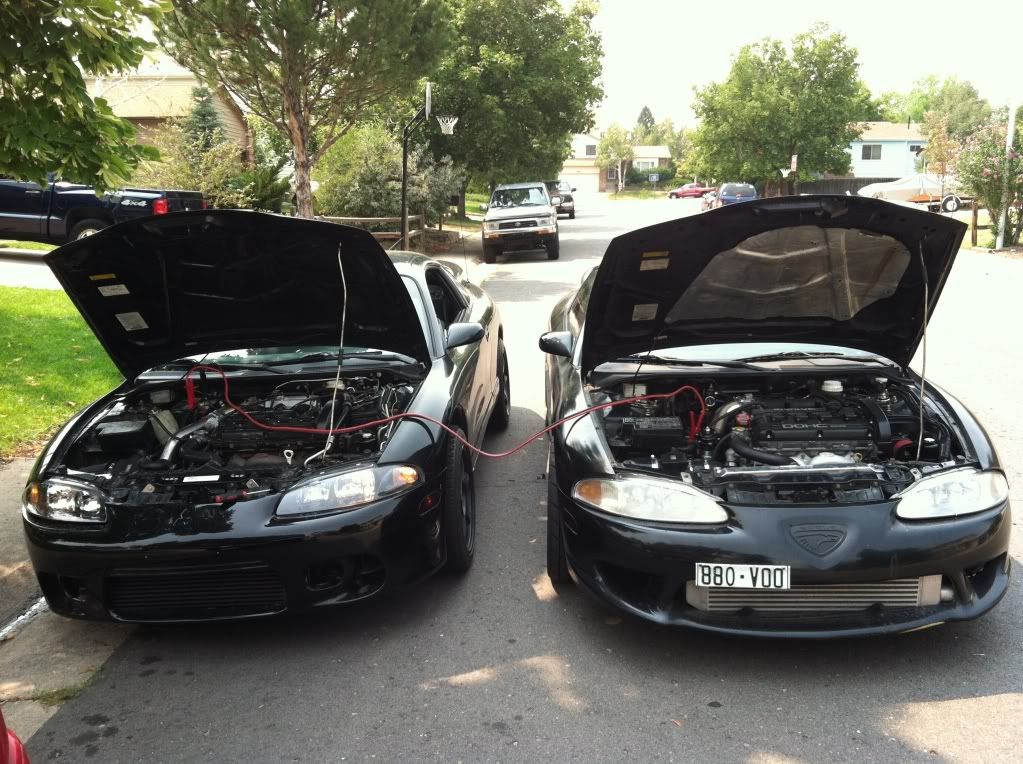 twins.jpg