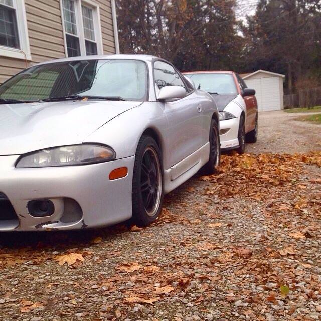 whips.jpg