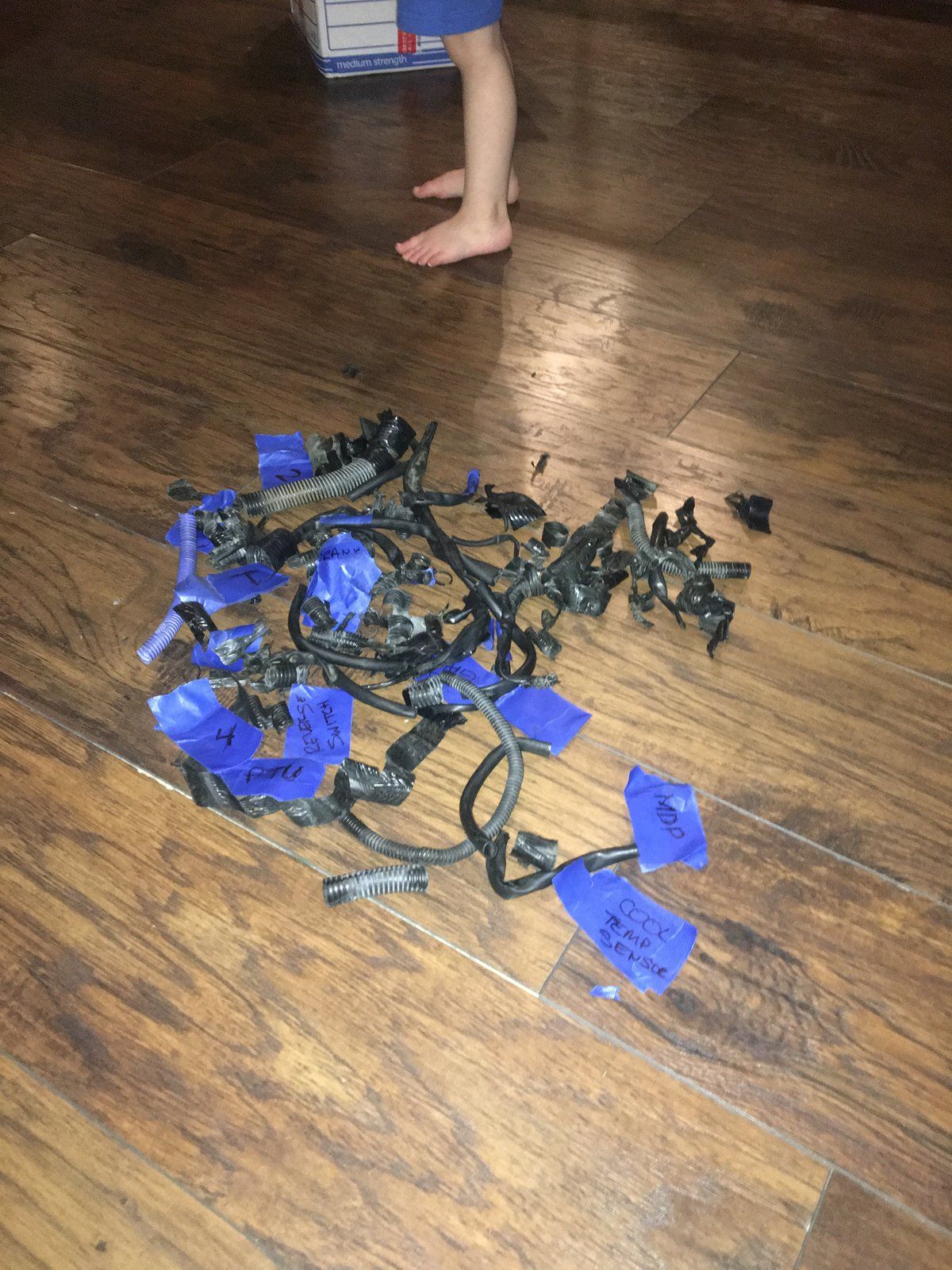 wireloom.JPG
