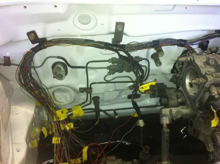 wiring4.jpg