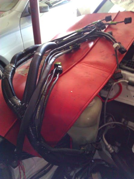 WP_002100.jpg