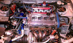 IMAG0075.jpg