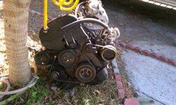 imag0040.jpg