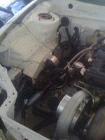 IMG_0073.jpg