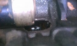 IMAG0266.jpg
