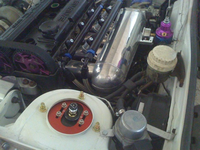 image-3791717816.png
