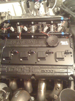 image-4197738170.png