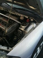 oil spray 1.jpg