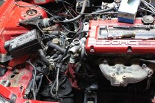 IMG_3221.jpg