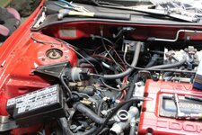 IMG_3223.jpg