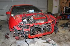 IMG_3253.jpg